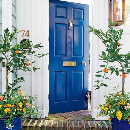 Image source: Southern Living, Photo by Hector Sanchez